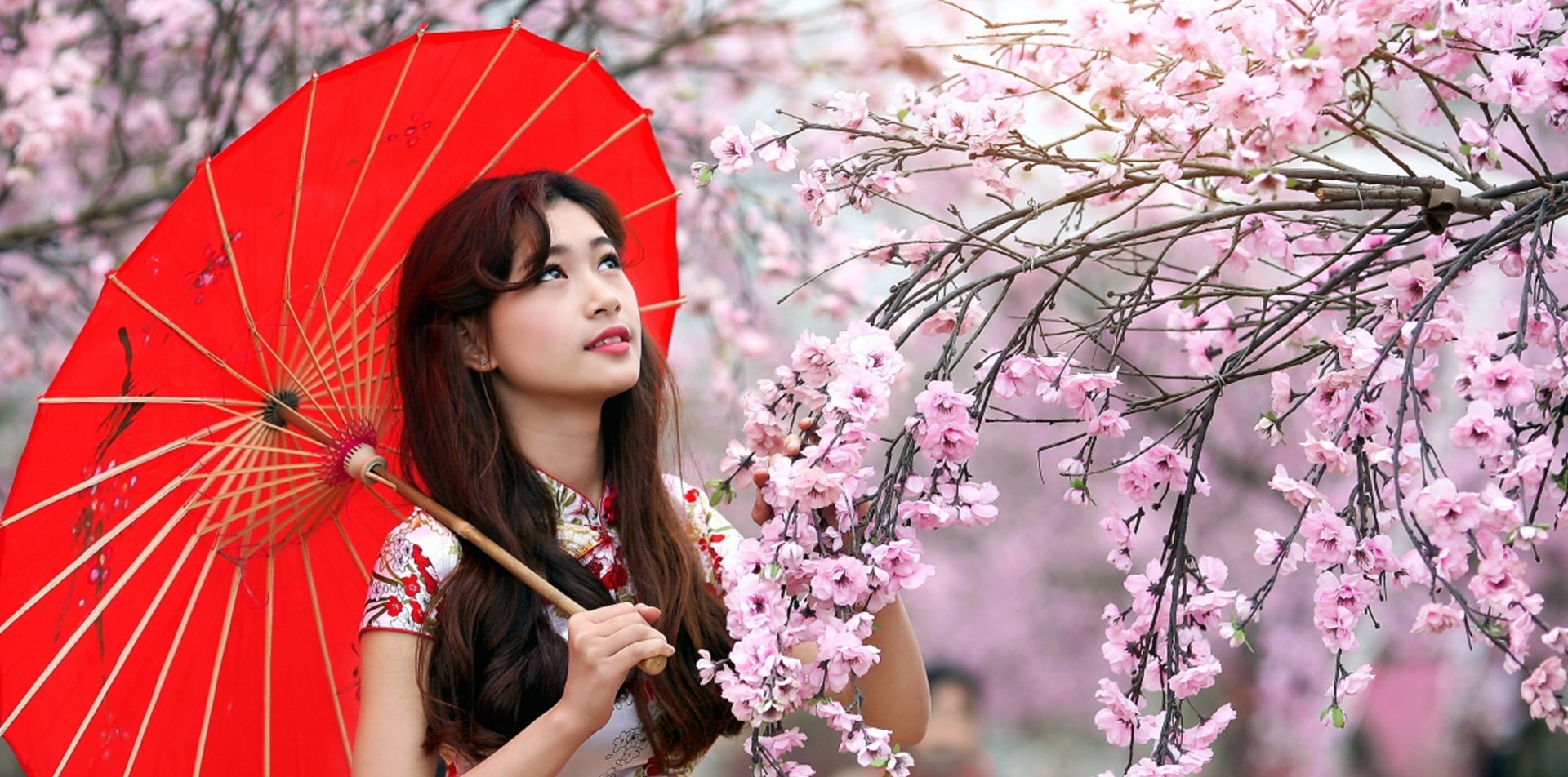 Экзотические туры в Японию на цветение сакуры